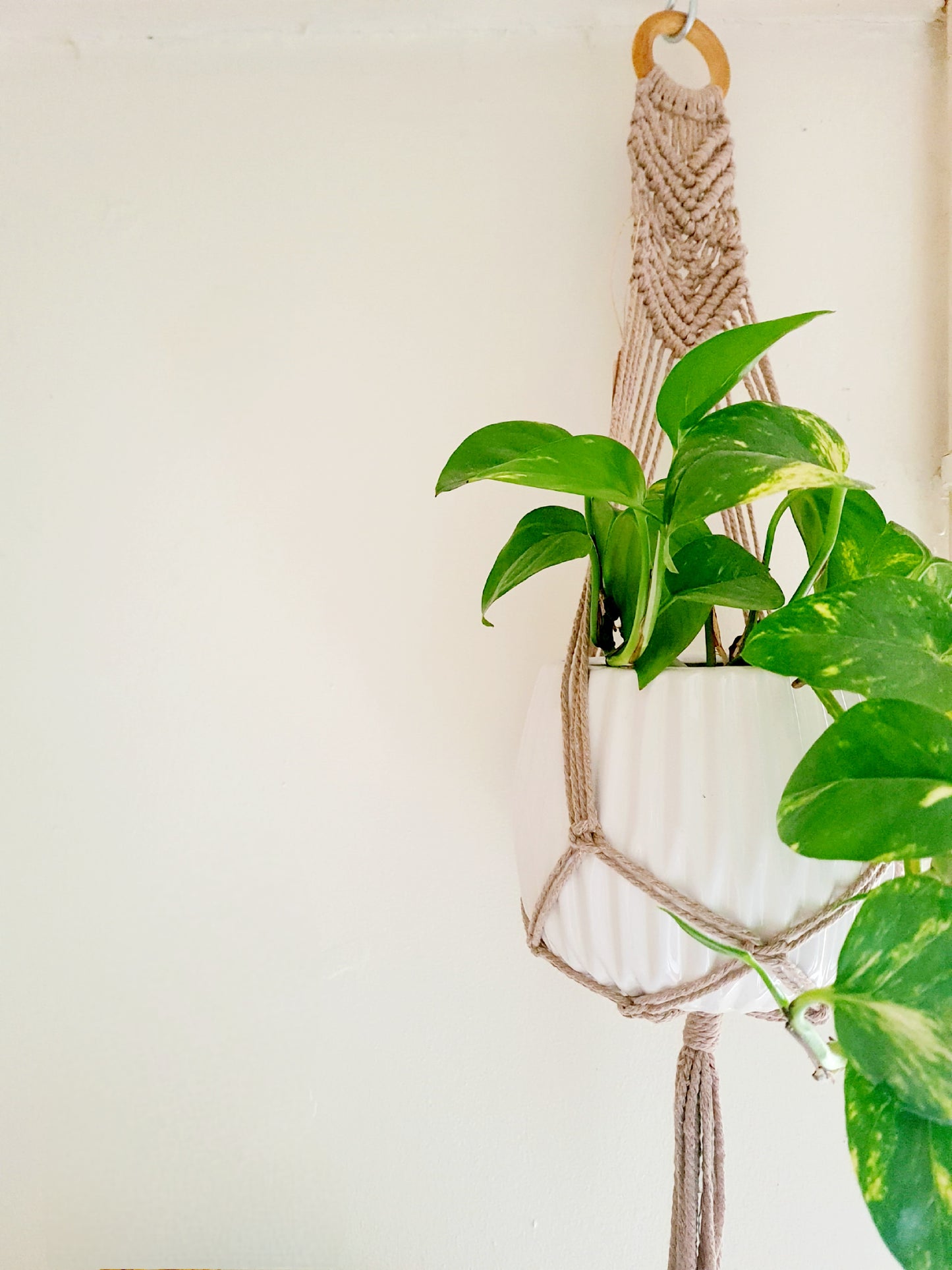 Woven hanging planter