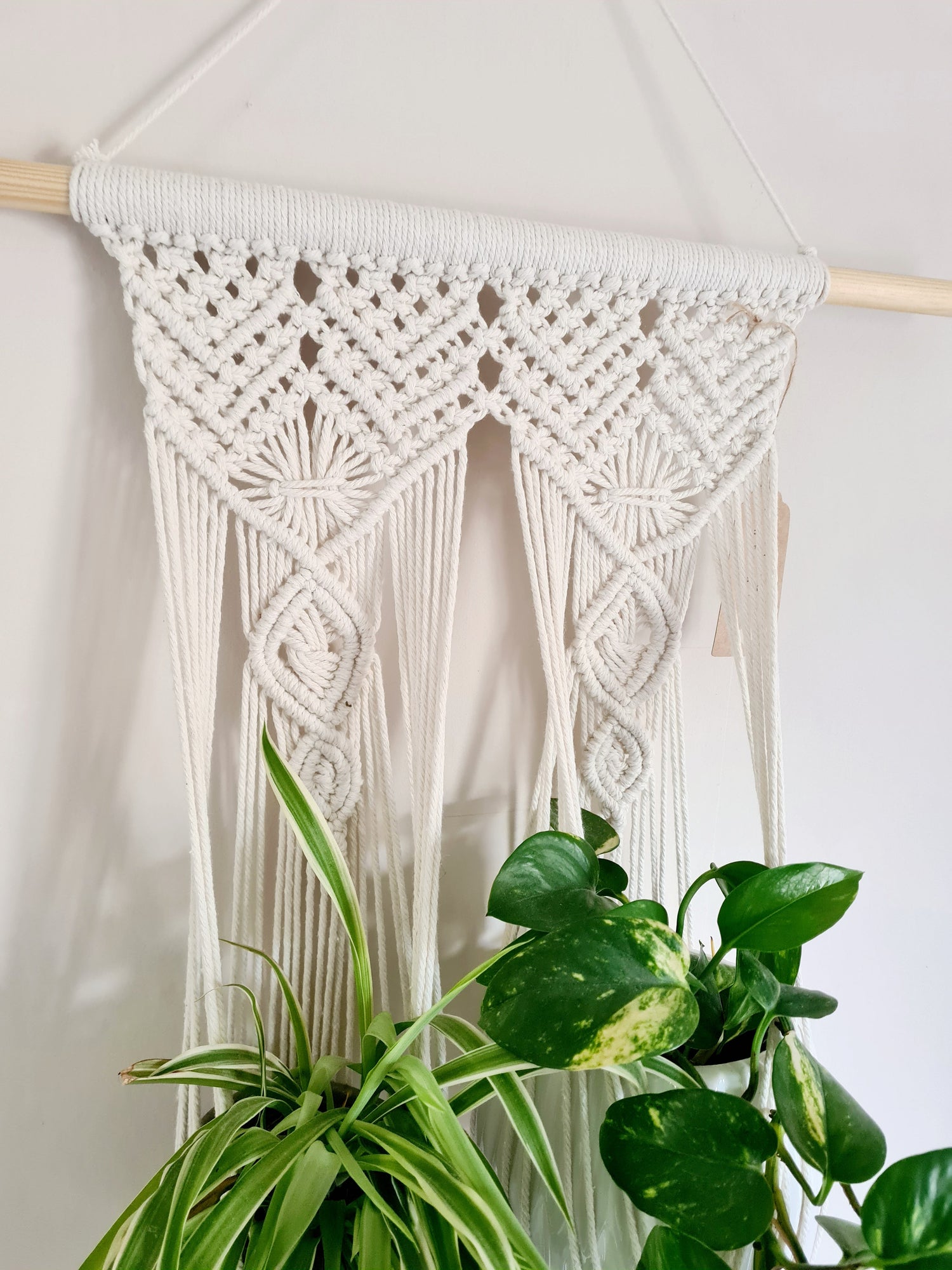 Plant Hangers