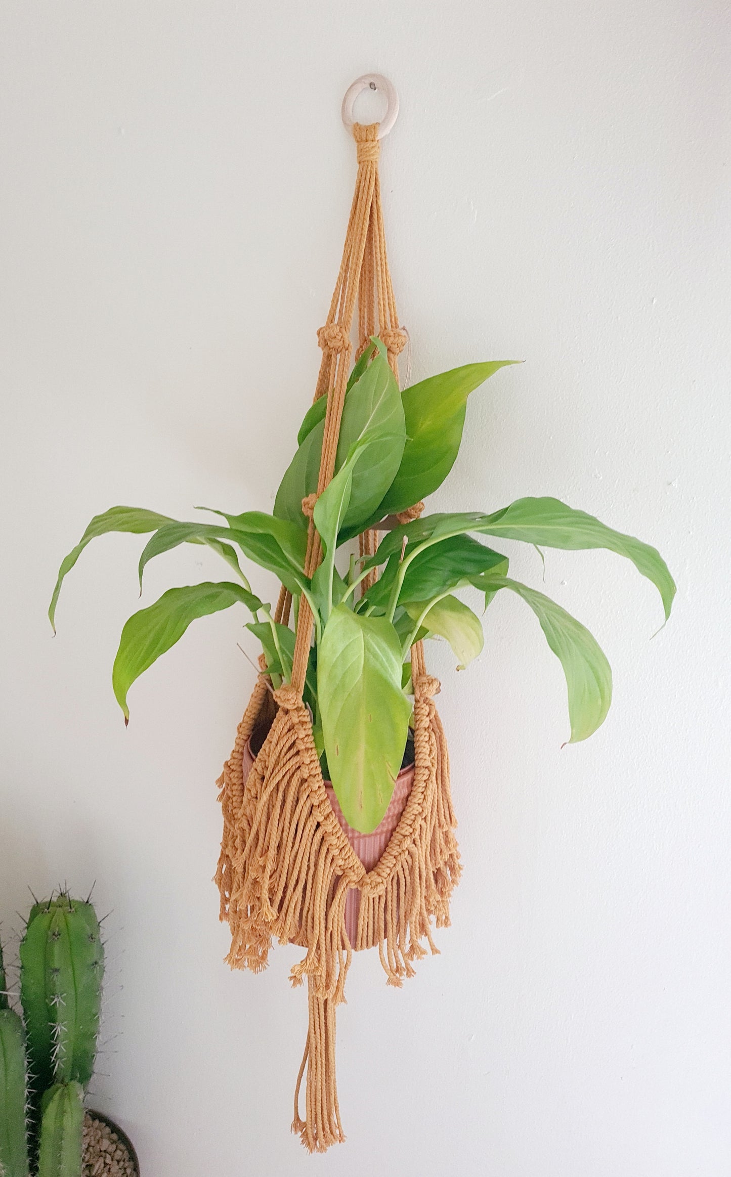 Fringed hanging planter