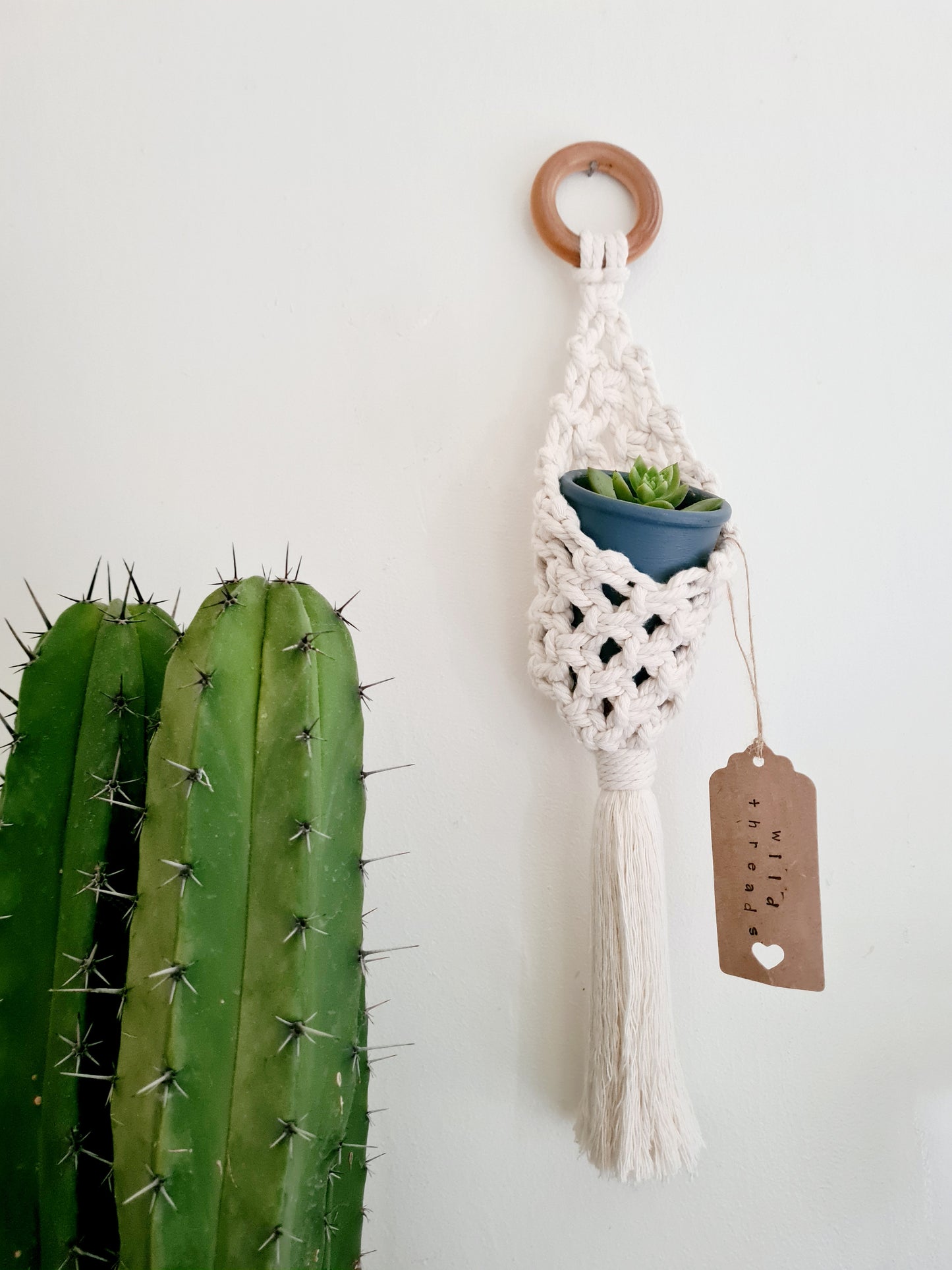 Air plant hanging pouch