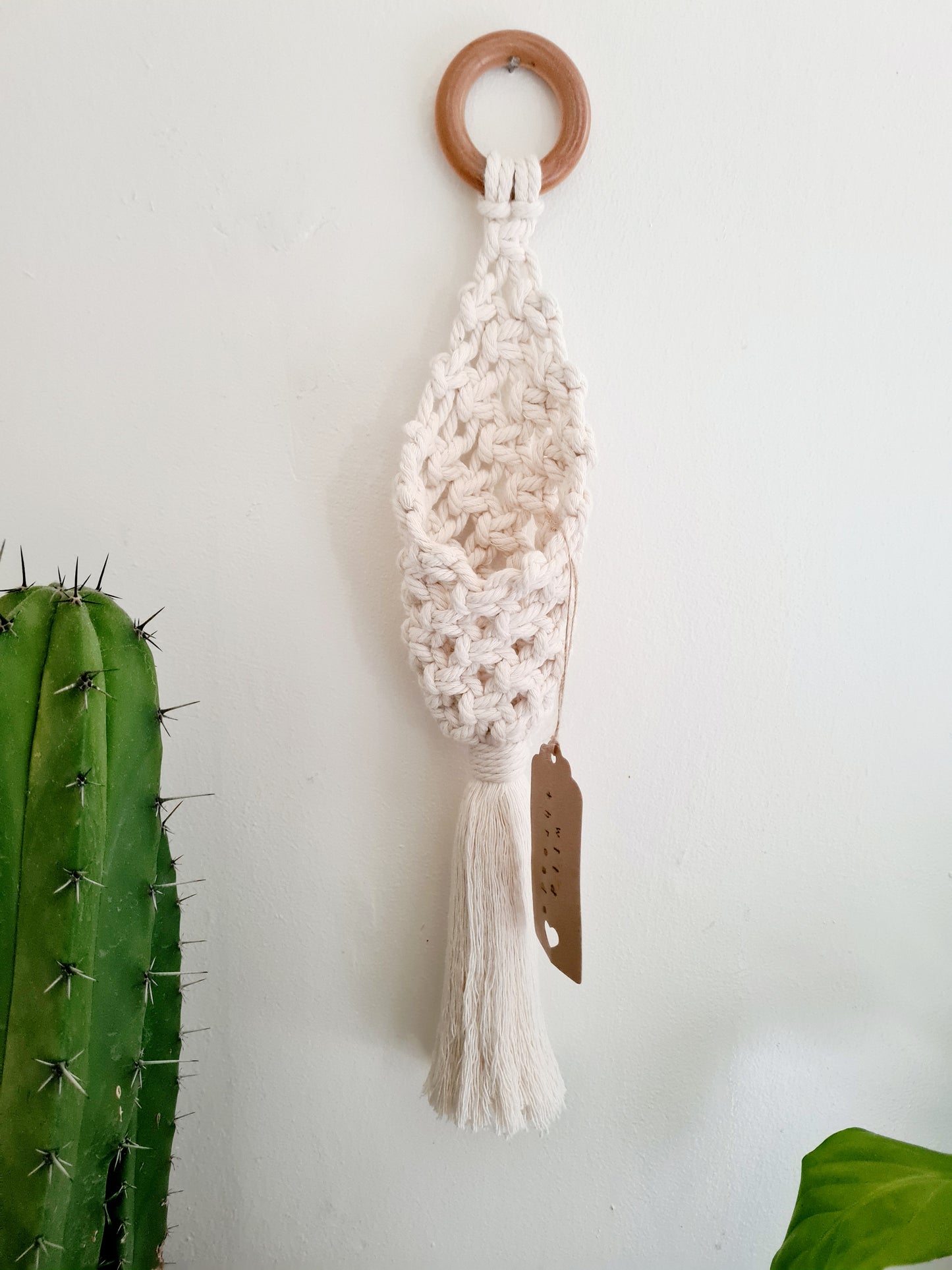 Air plant hanging pouch