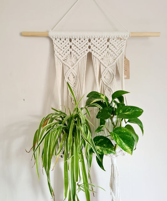 Double hanging planter