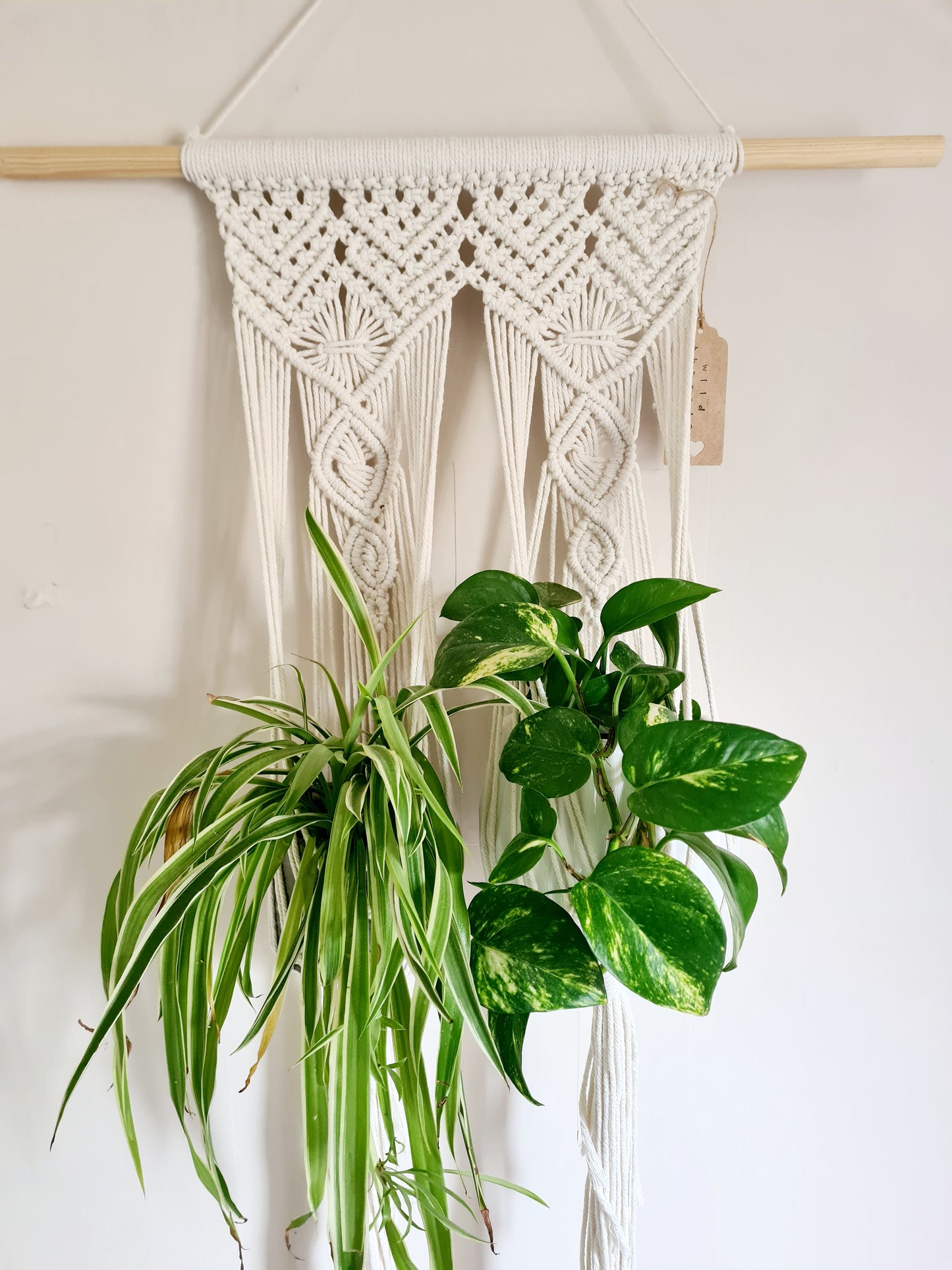 Double hanging planter